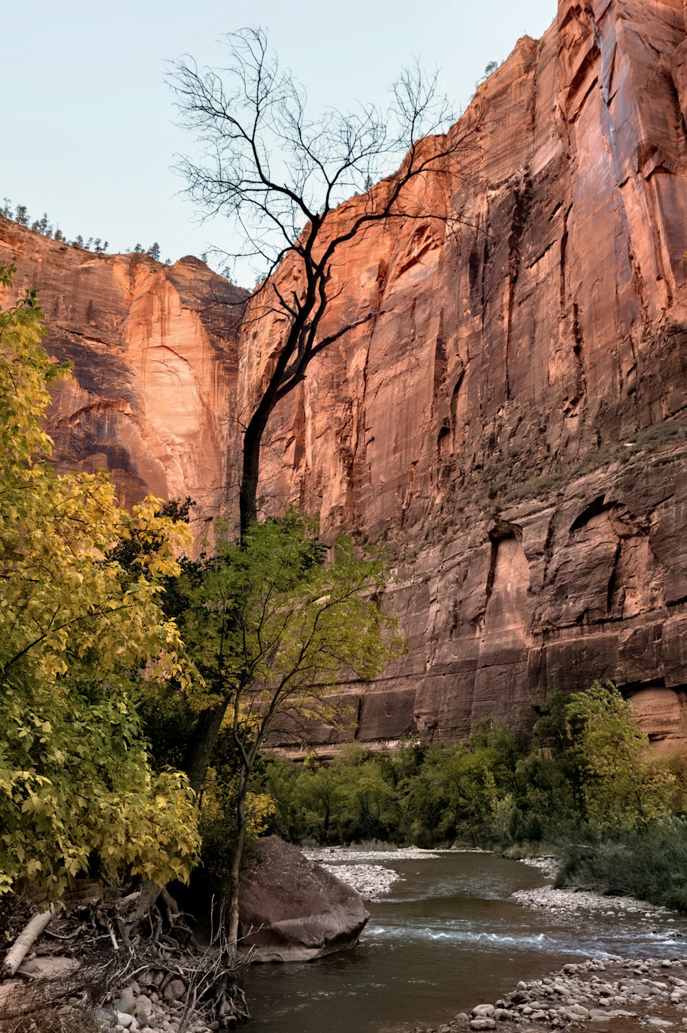 a river running through a canyon surrounded by mountains