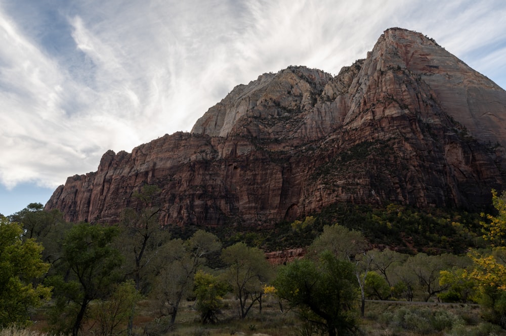 a very tall mountain with some trees in front of it