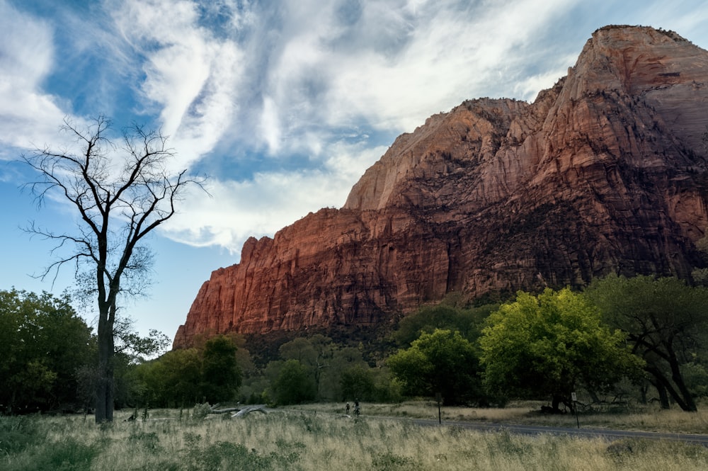 a scenic view of a mountain with a tree in the foreground