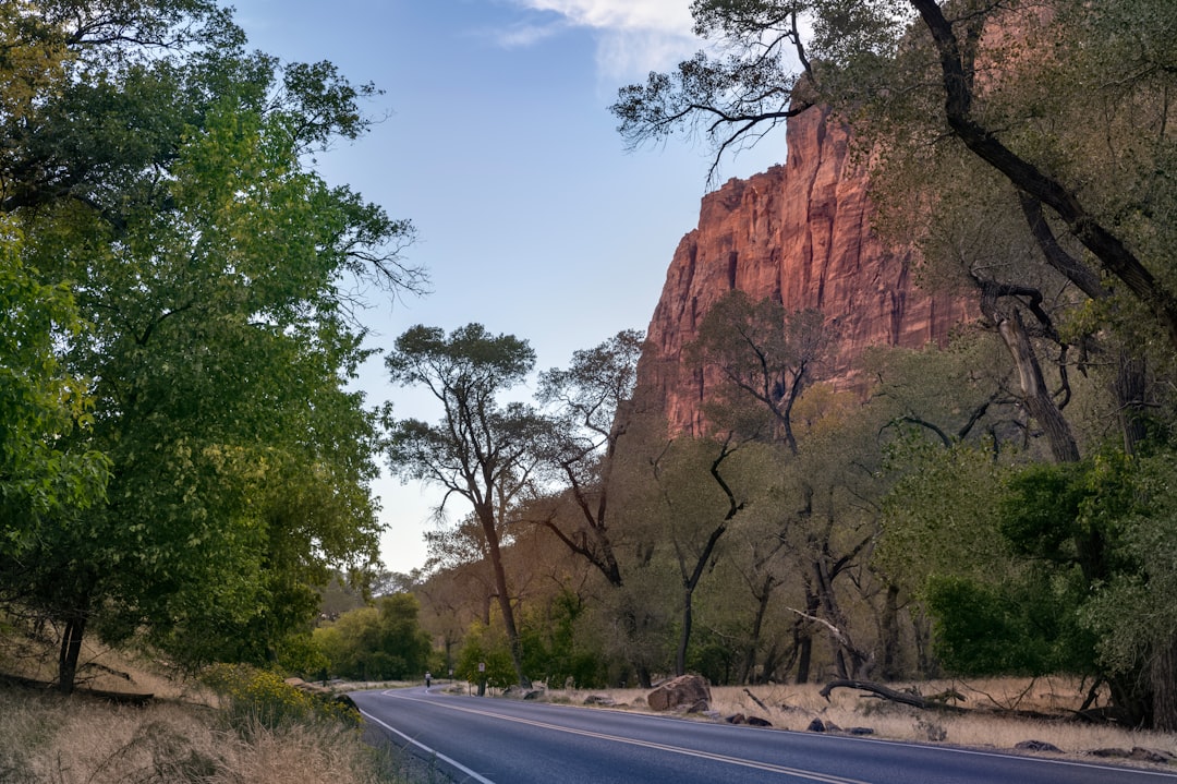 a road with a mountain in the background,