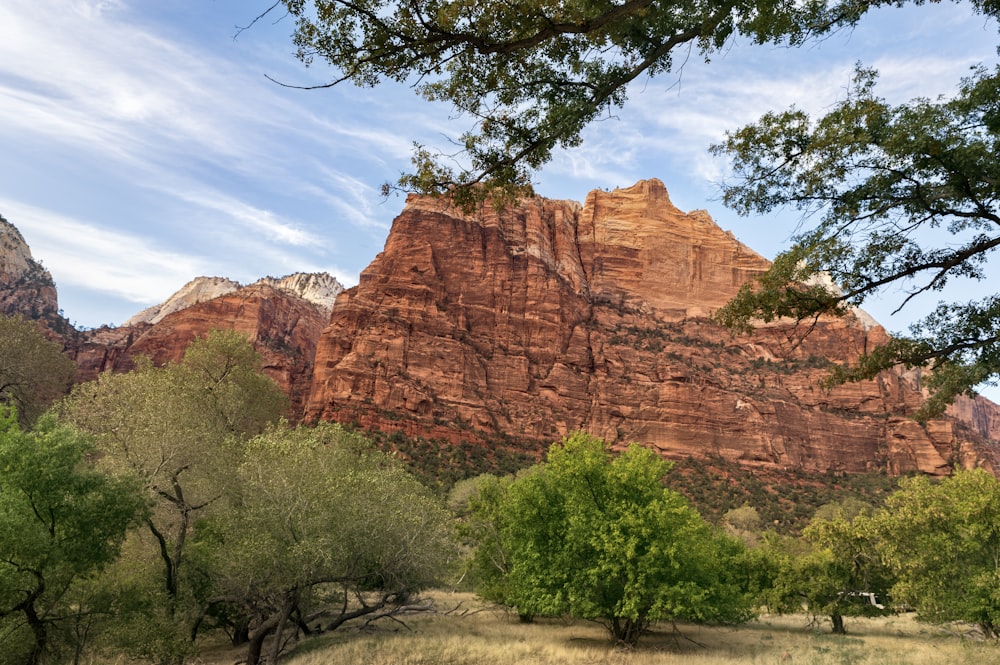 a view of a mountain with trees and grass