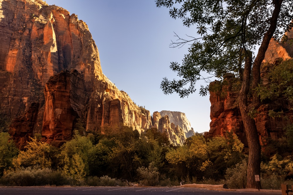 a scenic view of a mountain with trees in the foreground