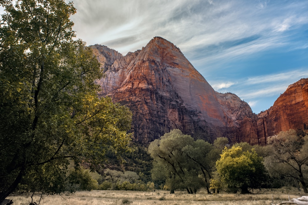 a scenic view of a mountain with trees in the foreground