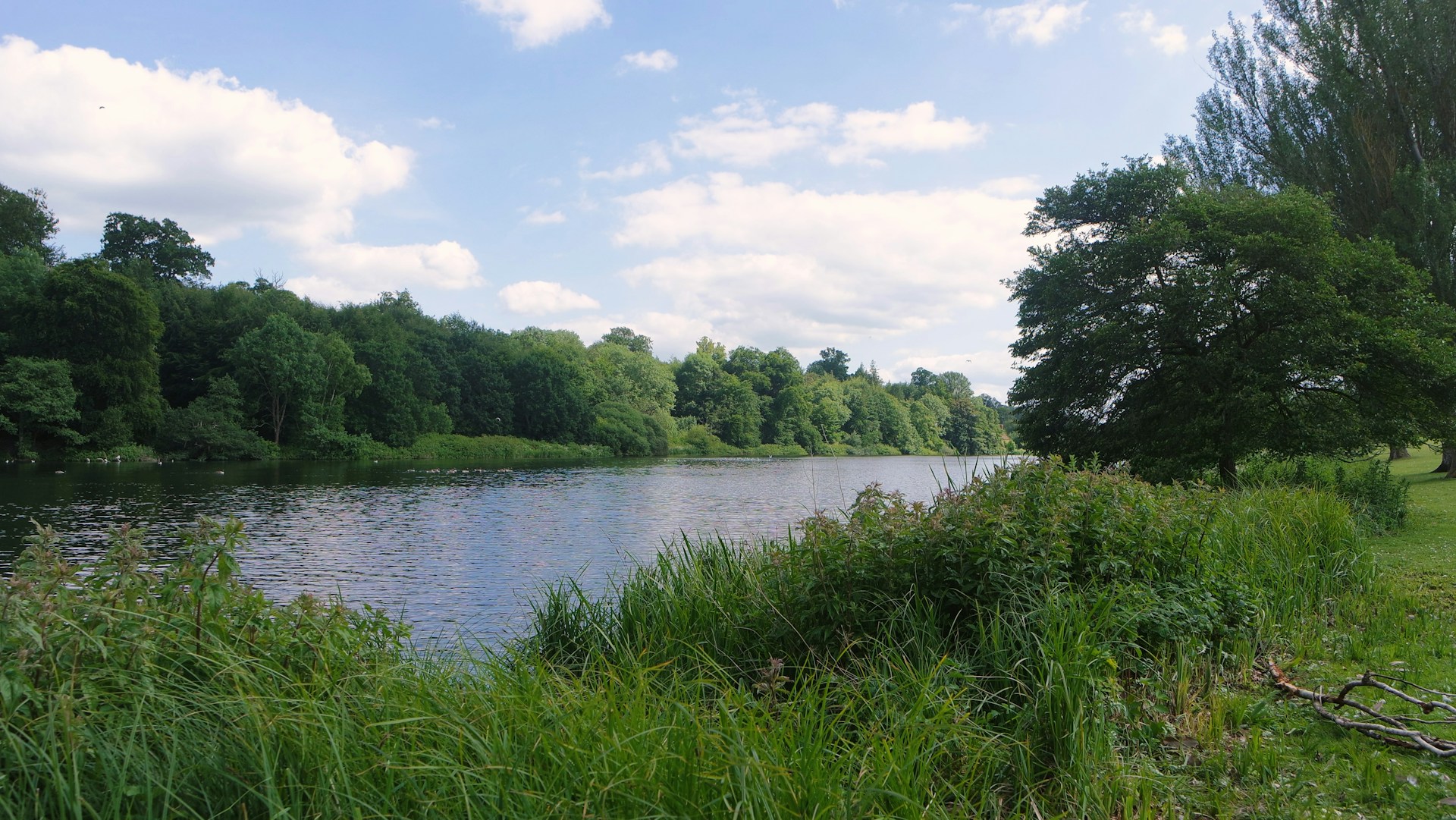 woman wearing yellow long-sleeved dress under white clouds and blue sky during daytime