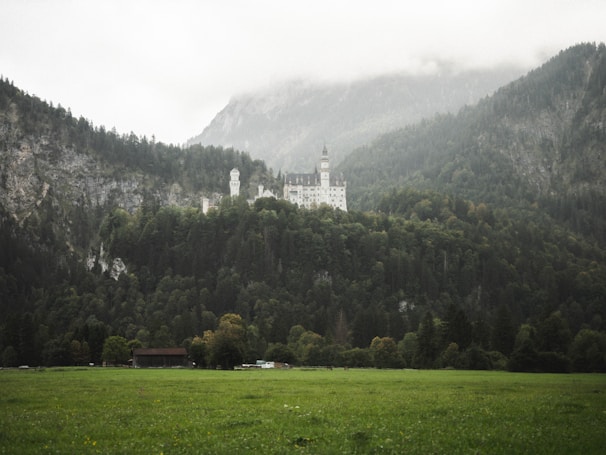 A majestic castle surrounded by lush greenery.