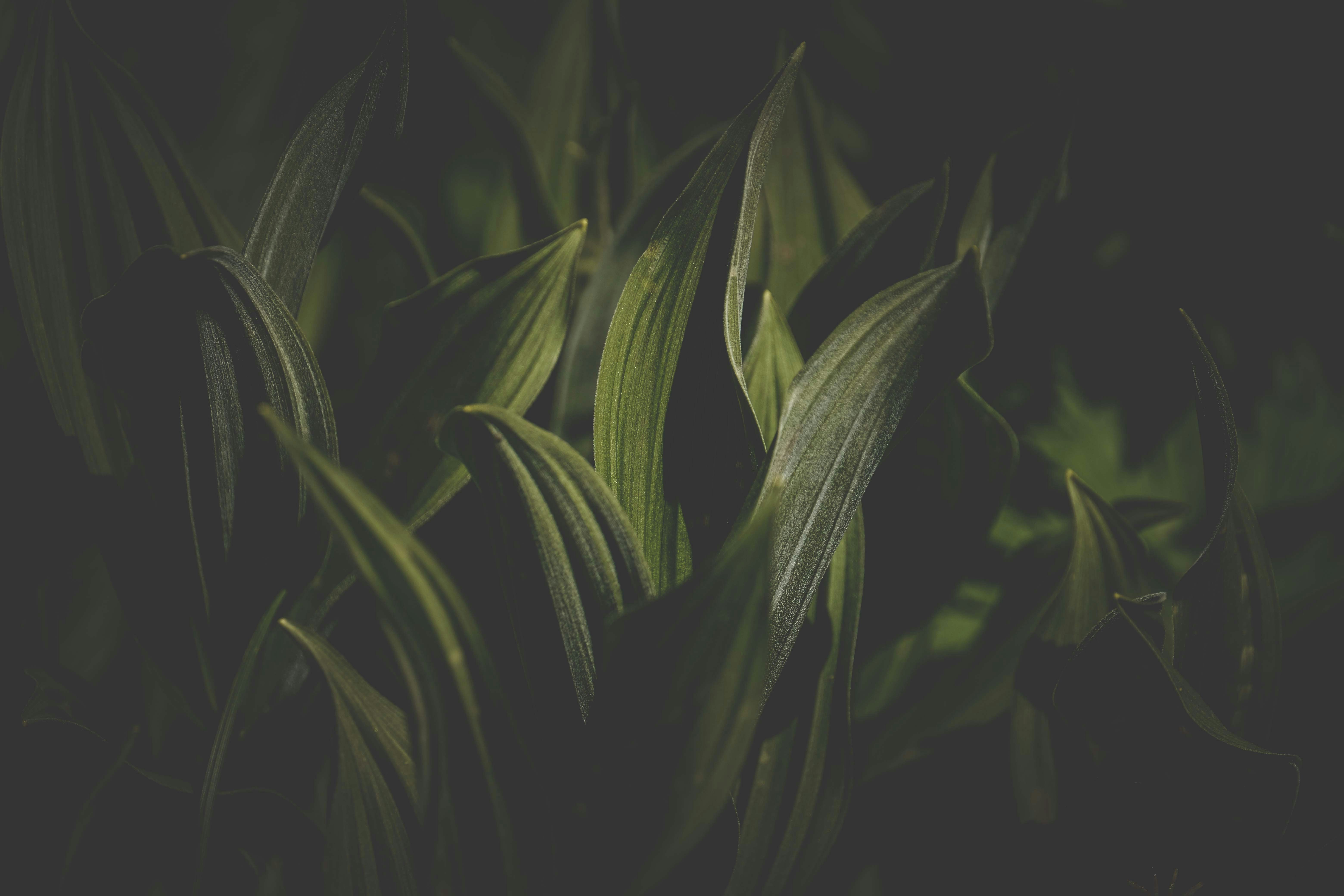 Photo by francesco_ungaro