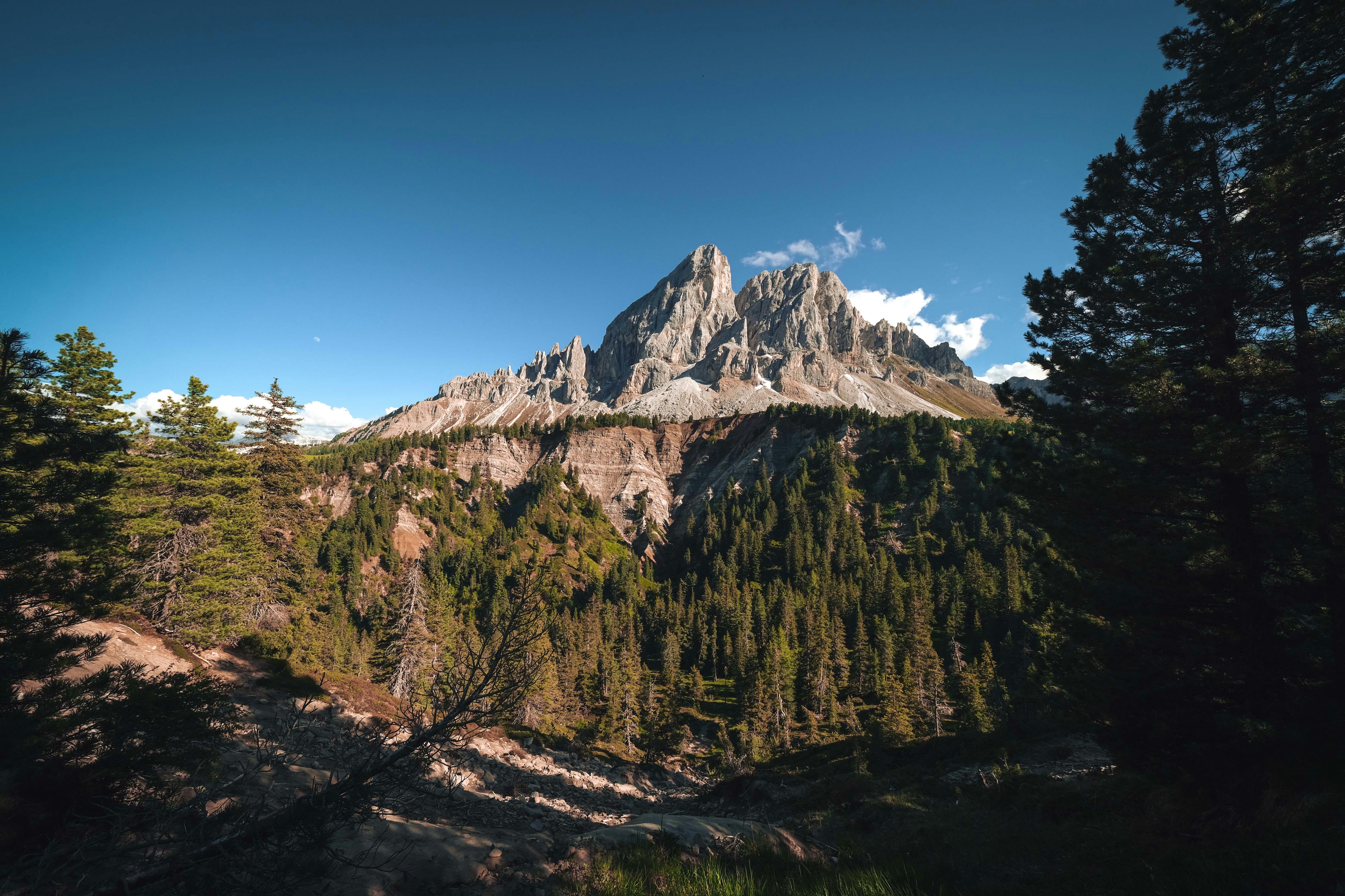 Photo by francesco_ungaro