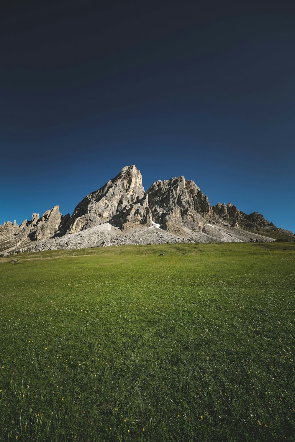 a grassy field with a mountain in the background