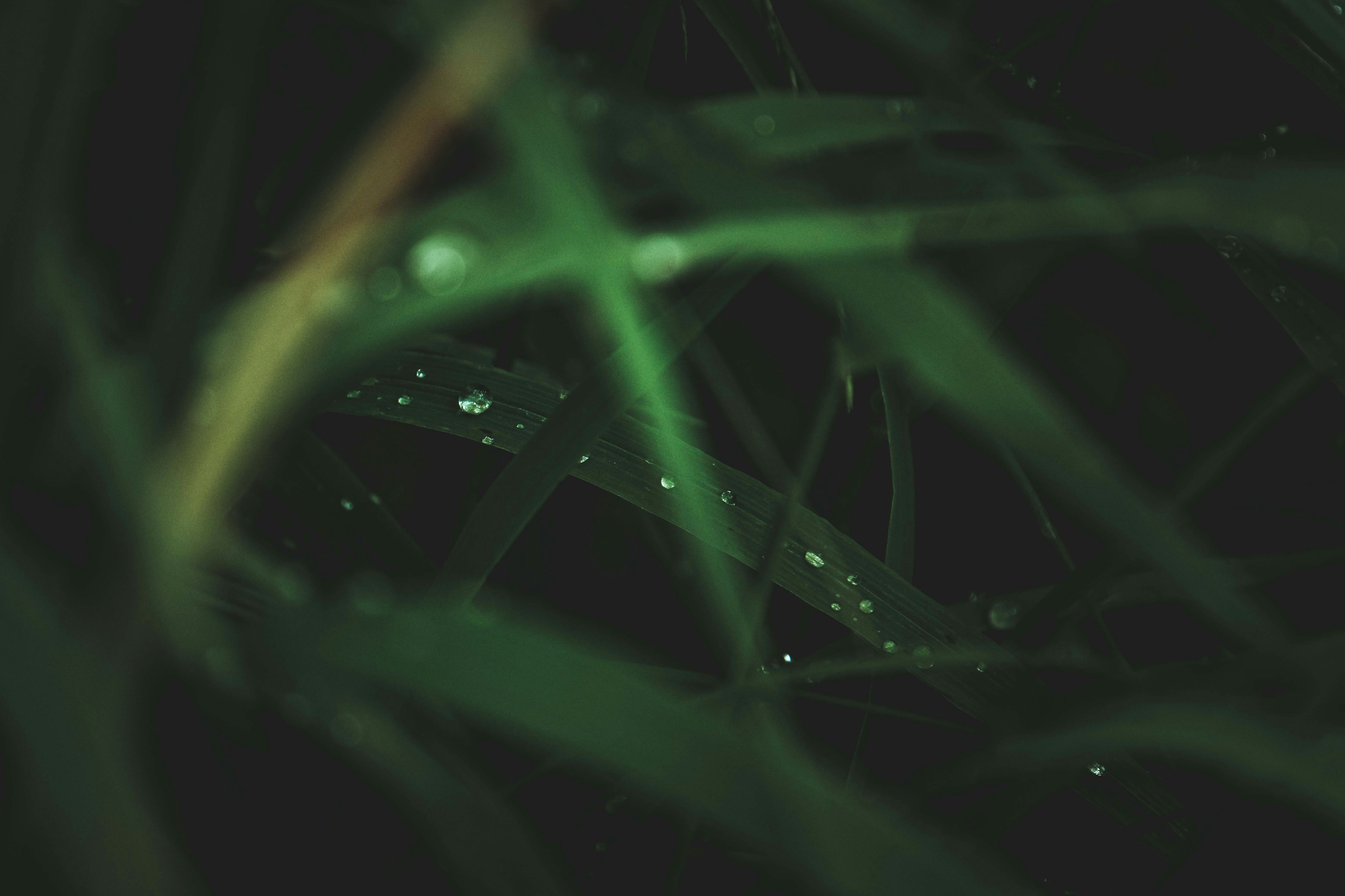 Photo by francesco_ungaro