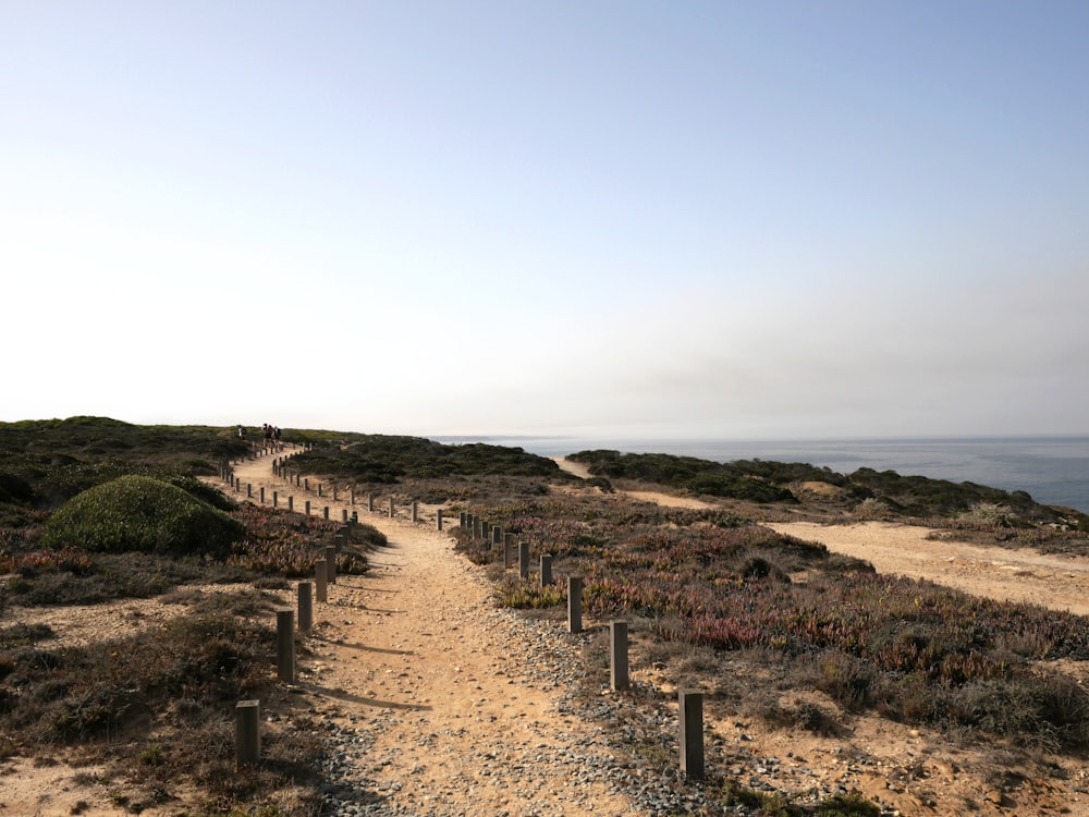 a dirt path leading to the ocean on a sunny day