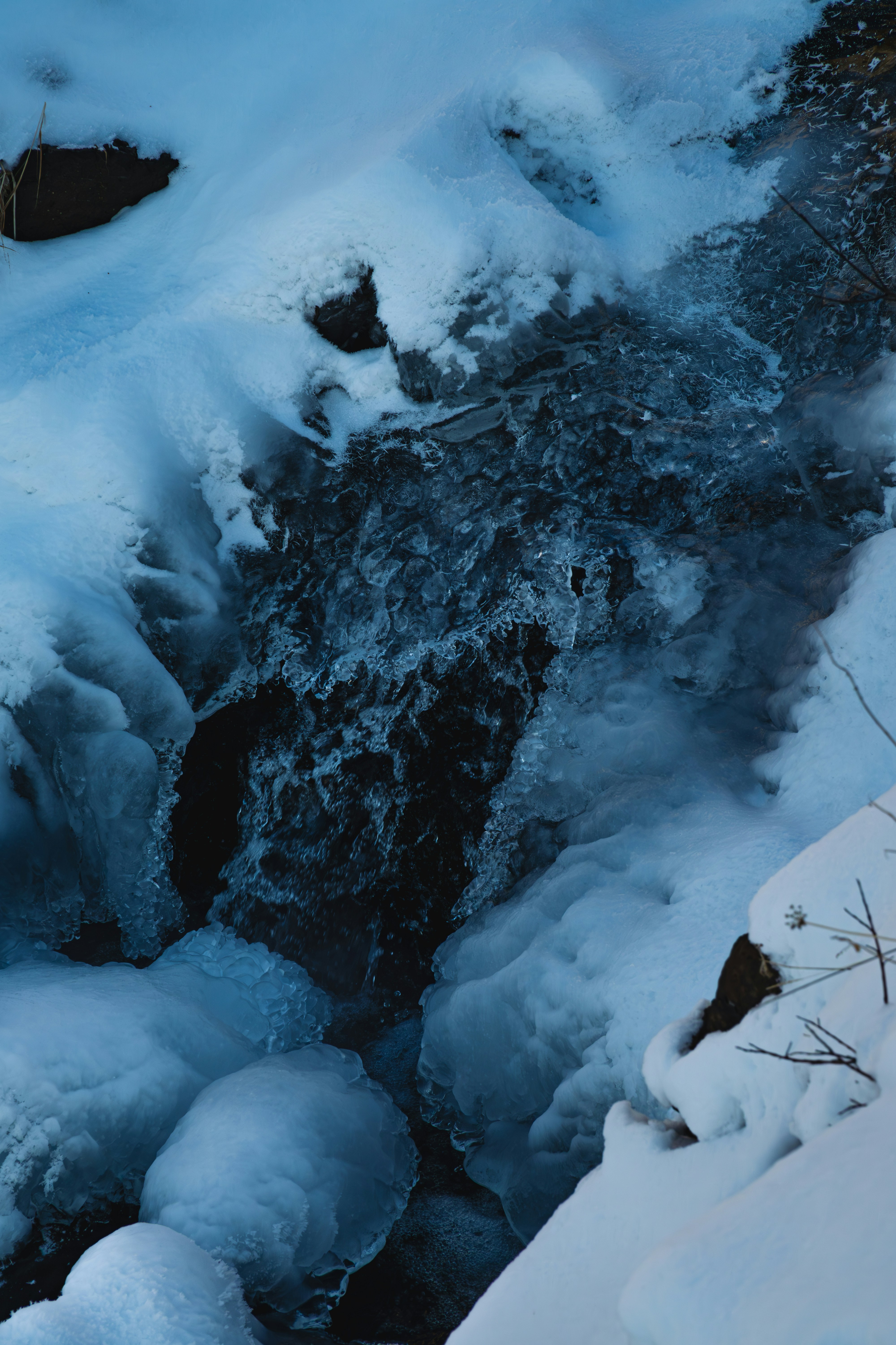 Photo by mxm_bogdanov