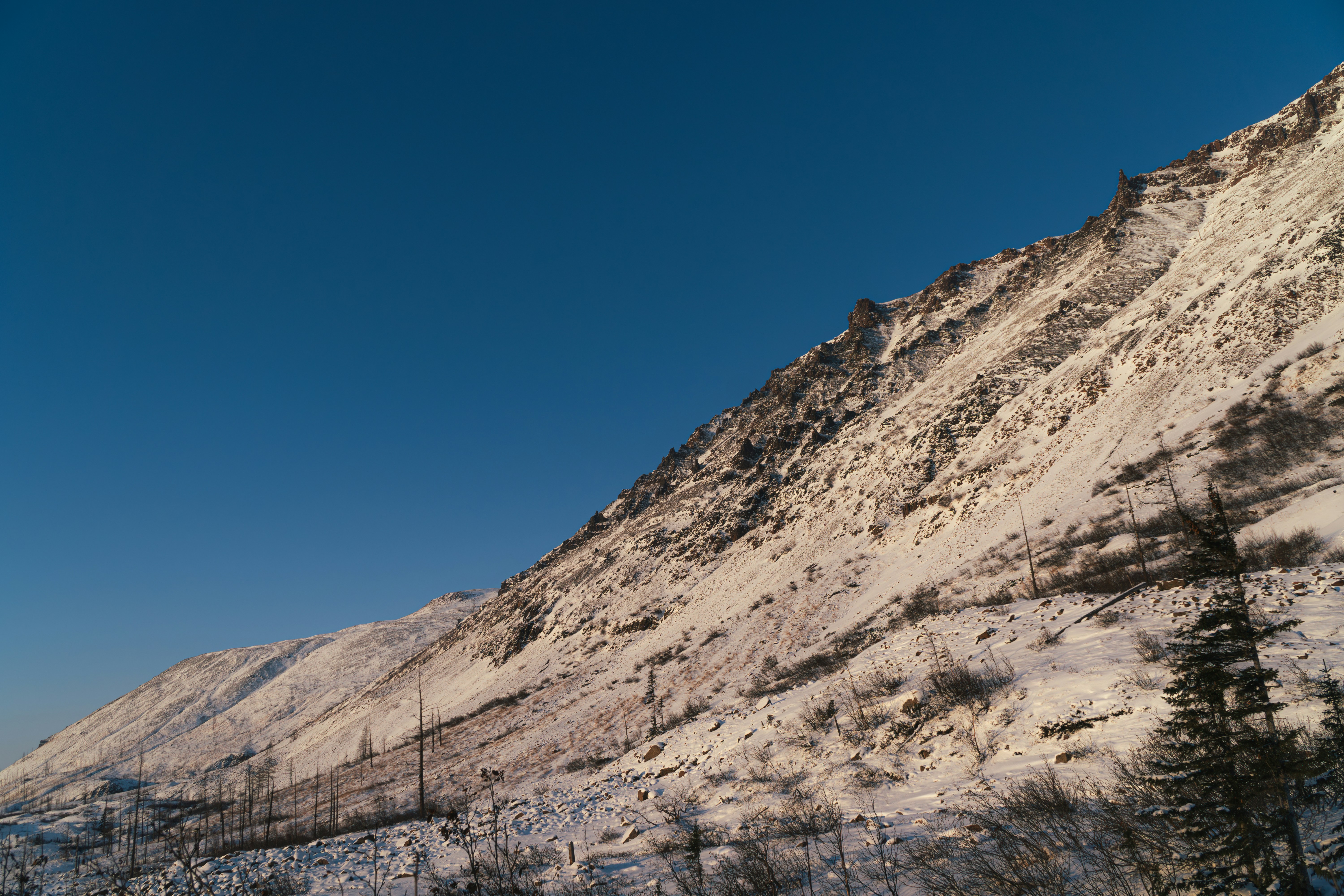 a snow covered mountain with trees on the side