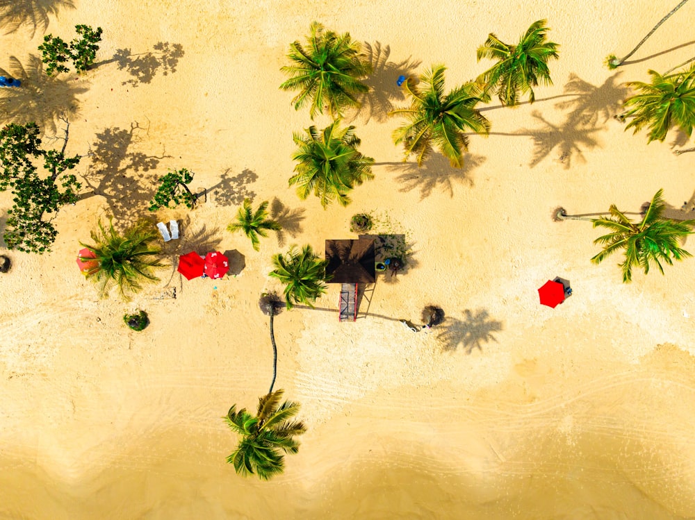 an aerial view of a sandy beach with palm trees