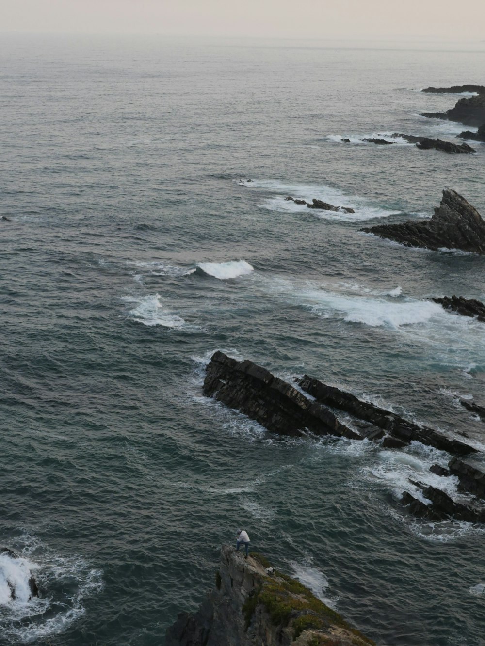 a bird sitting on a rock near the ocean