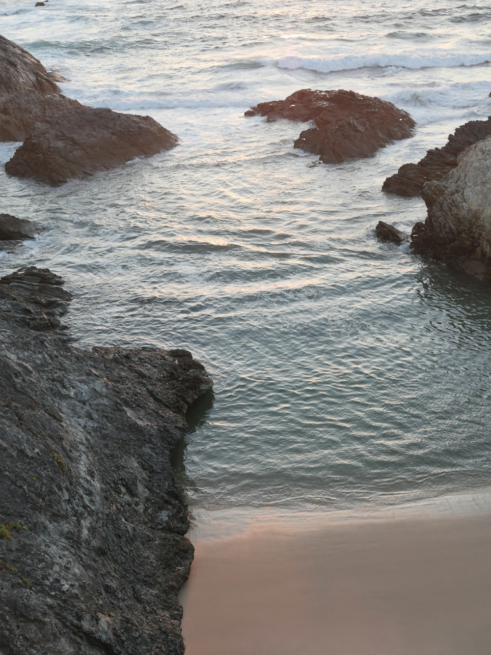 a couple of birds sitting on top of a rock next to the ocean