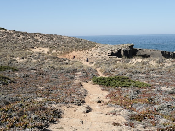 A rugged coastal landscape with sparse vegetation and sandy terrain. In the middle foreground, a trail leads towards a distant rock outcrop and vast ocean backdrop. Two figures are walking on the trail toward the rocky coast.
