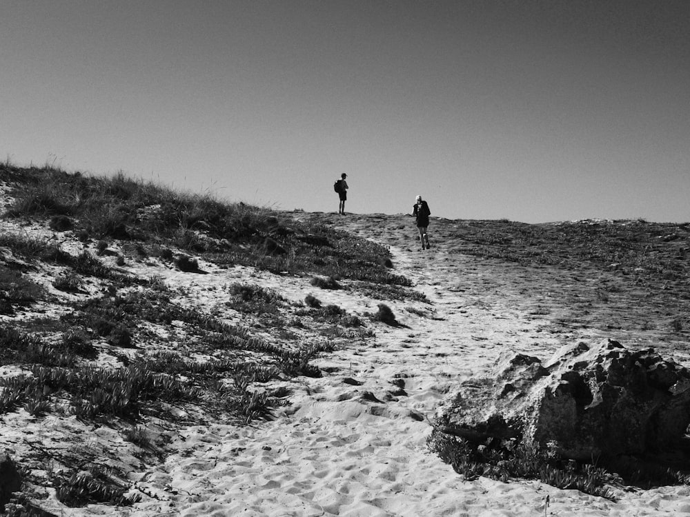 two people walking up a hill on a sunny day