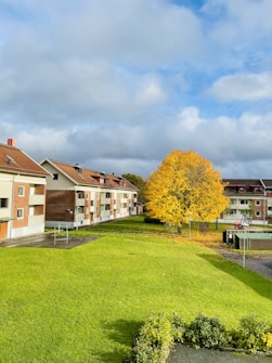 Residential buildings form a backdrop to a vibrant, yellow-leaved tree standing prominently in a well-maintained green lawn. The sky is partly cloudy, casting a serene light over the scene. A playground area and a small shed are visible, adding a community feel to the suburban setting.