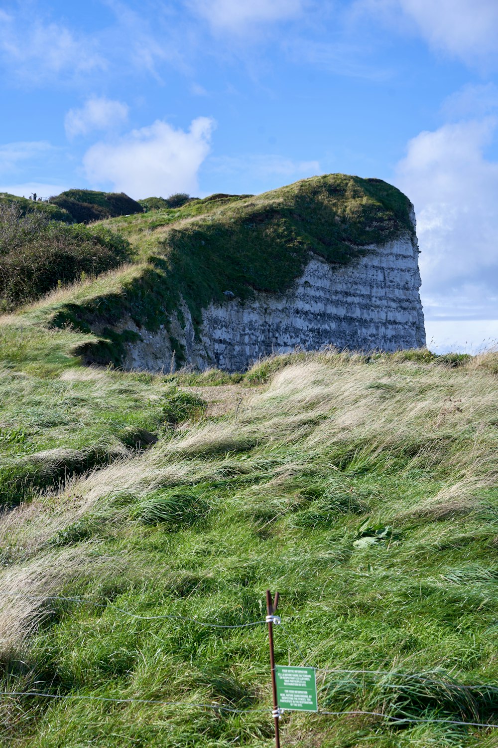 a grassy hill with a rock outcropping in the background
