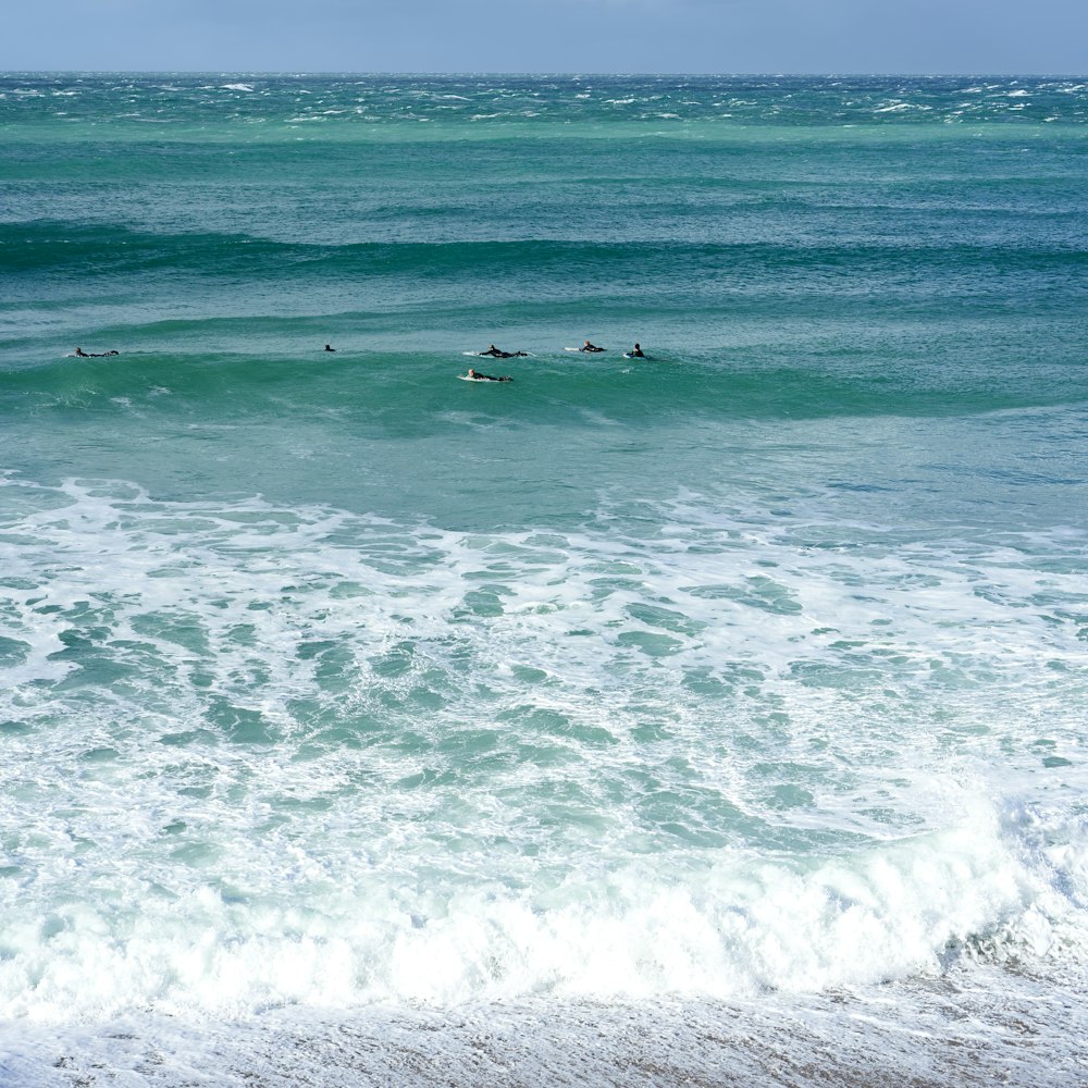a group of surfers riding the waves in the ocean