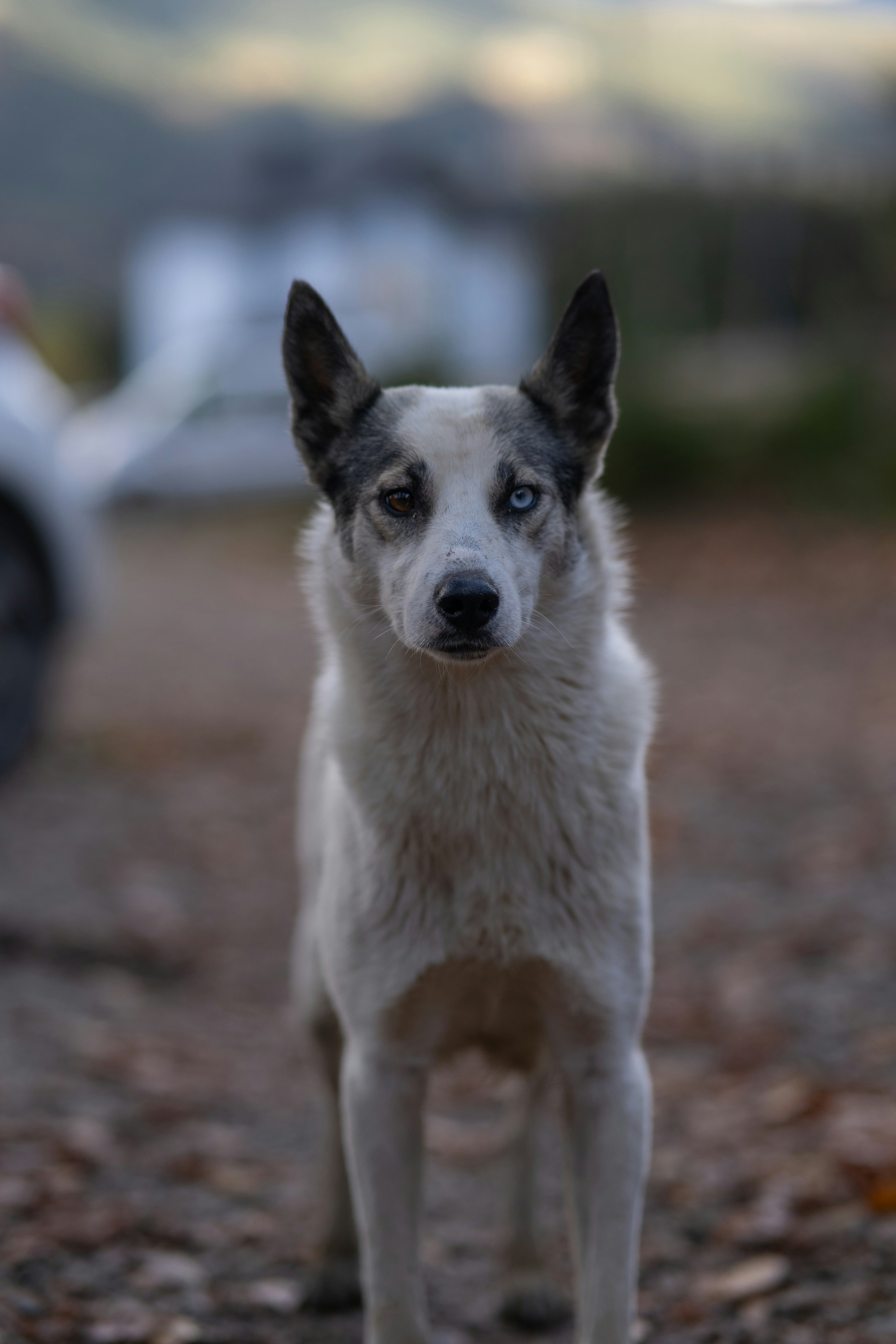 Photo by eugenechystiakov