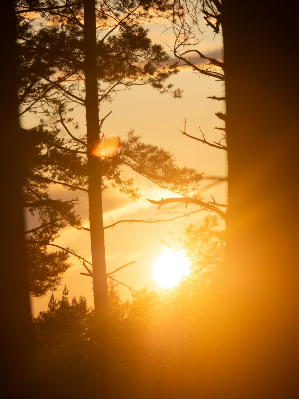 the sun is setting behind some trees