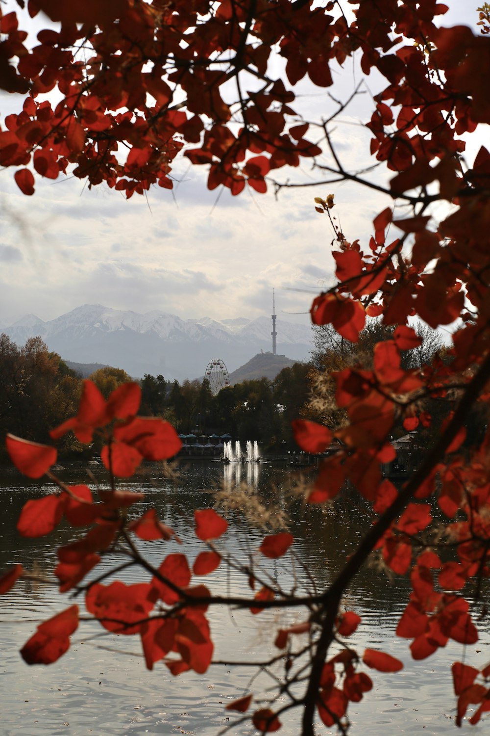 a body of water surrounded by trees with red leaves
