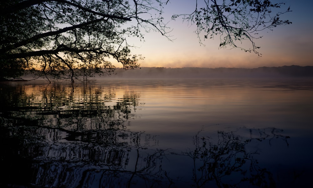 a body of water with a tree in the foreground