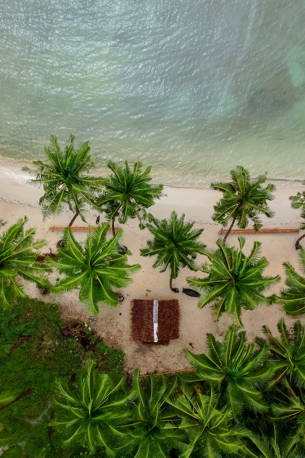 an aerial view of a beach with palm trees