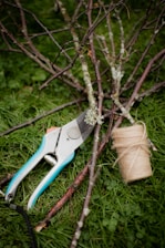 Close-up of a pair of sleek pruning shears resting on fresh green leaves in a sunlit garden.