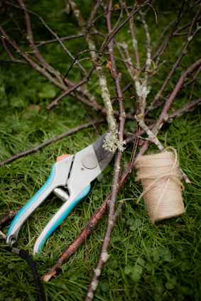 A close-up of sturdy pruning shears resting on fresh green leaves in a sunlit garden.