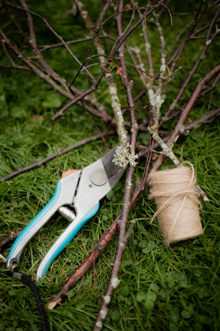 A set of gardening shears with razor-sharp edges resting on a wooden bench.