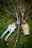 A pair of garden shears, several thin tree branches, and a spool of twine are placed on green grass. The branches have patches of lichen on them, and the shears have a metallic and turquoise handle.