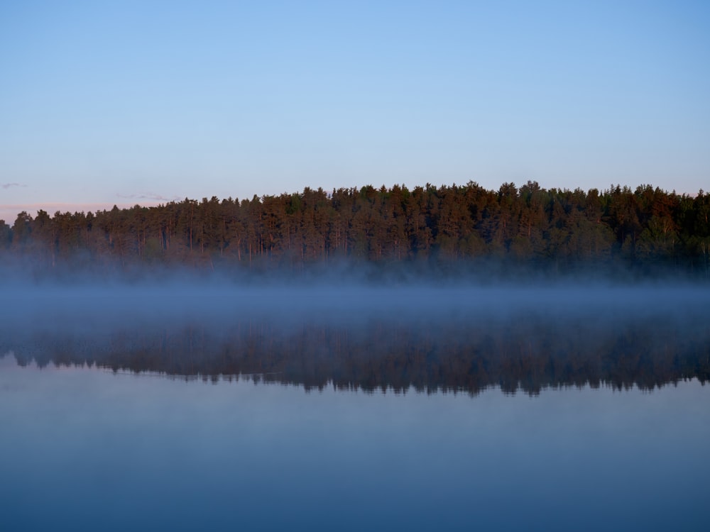 a body of water with trees in the background