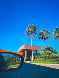A modern building with sleek architectural design features prominently in a tropical setting, surrounded by tall palm trees. The sky is clear and vibrant blue, and a road leads up to the building. The reflection of greenery is visible in the side mirror of a car, which is positioned in the foreground of the image.