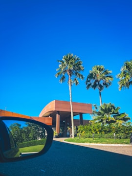 A modern building with sleek architectural design features prominently in a tropical setting, surrounded by tall palm trees. The sky is clear and vibrant blue, and a road leads up to the building. The reflection of greenery is visible in the side mirror of a car, which is positioned in the foreground of the image.