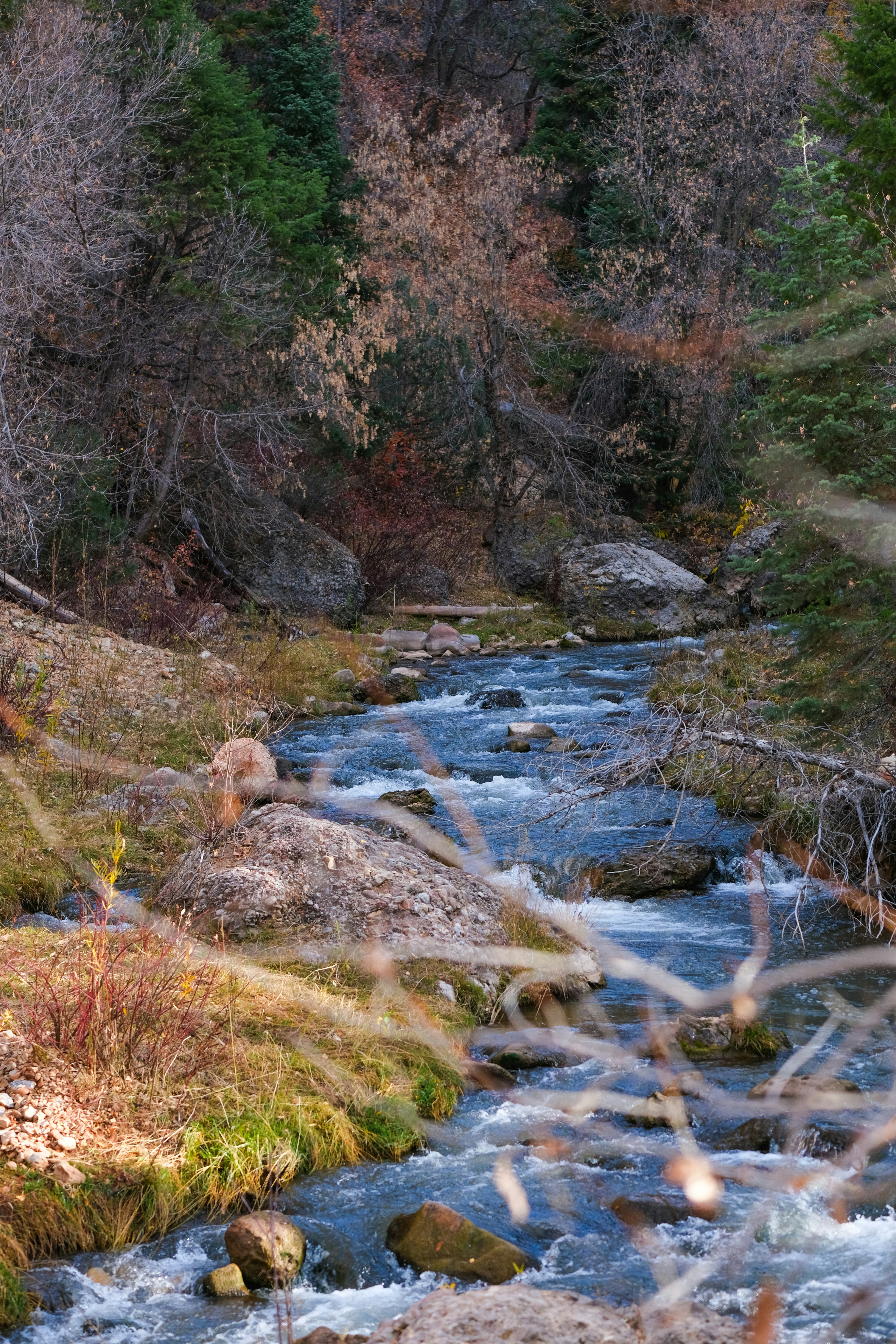 Photo by cestmoisheedy