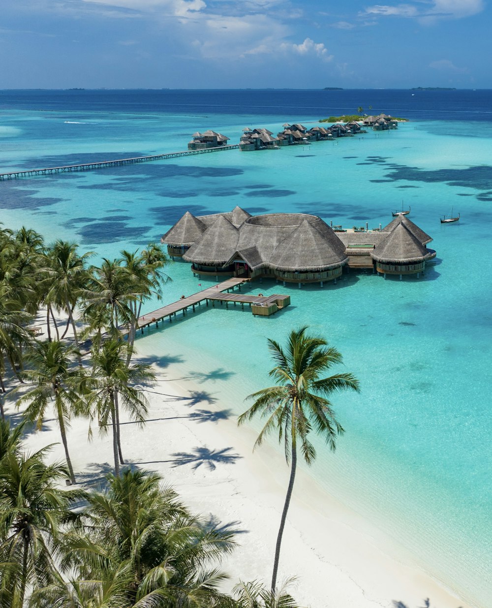 a tropical island with palm trees and huts