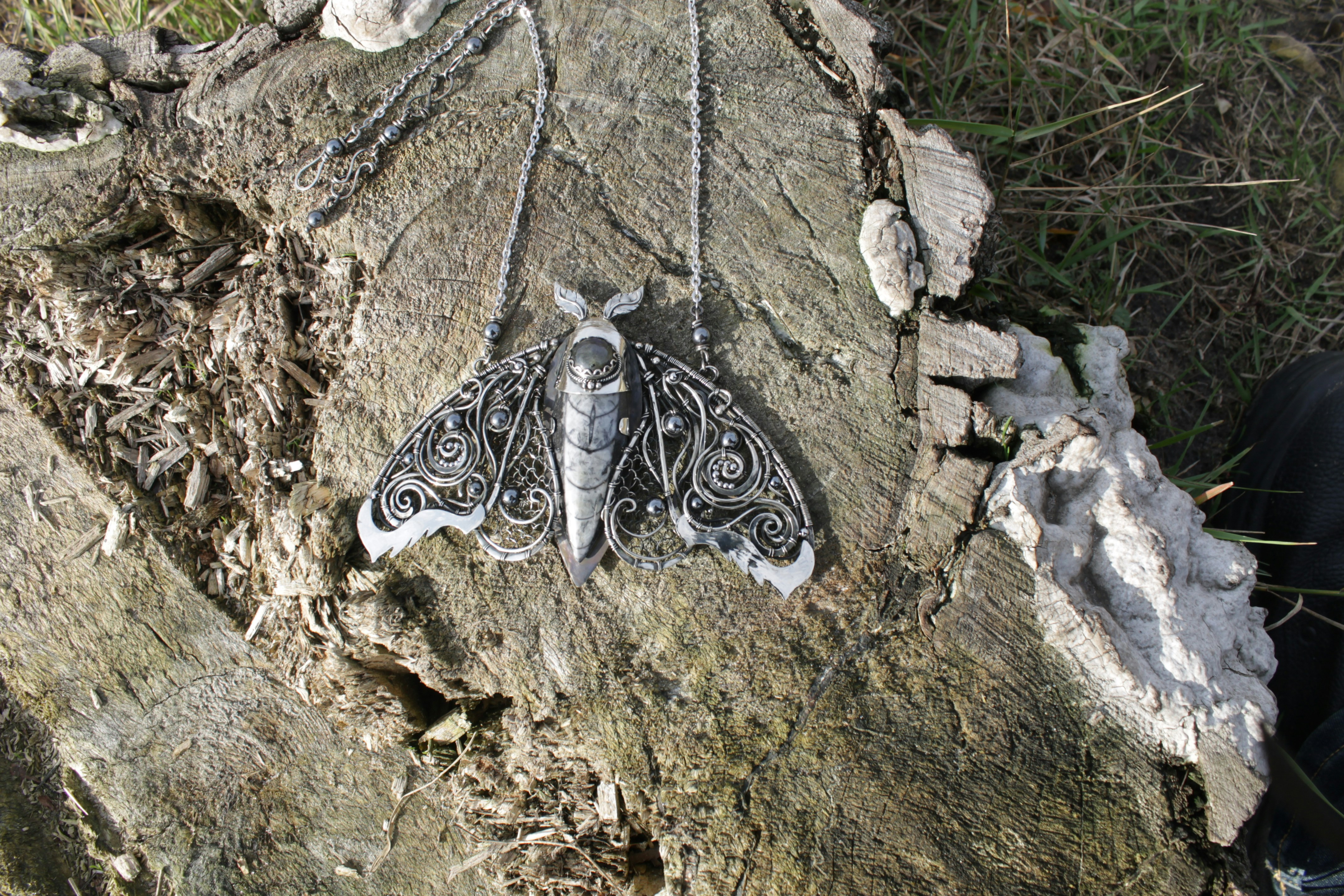 Silver Y moths: Earth's champion insect migrators traveling 9,000 km - moth migration July thousands miles