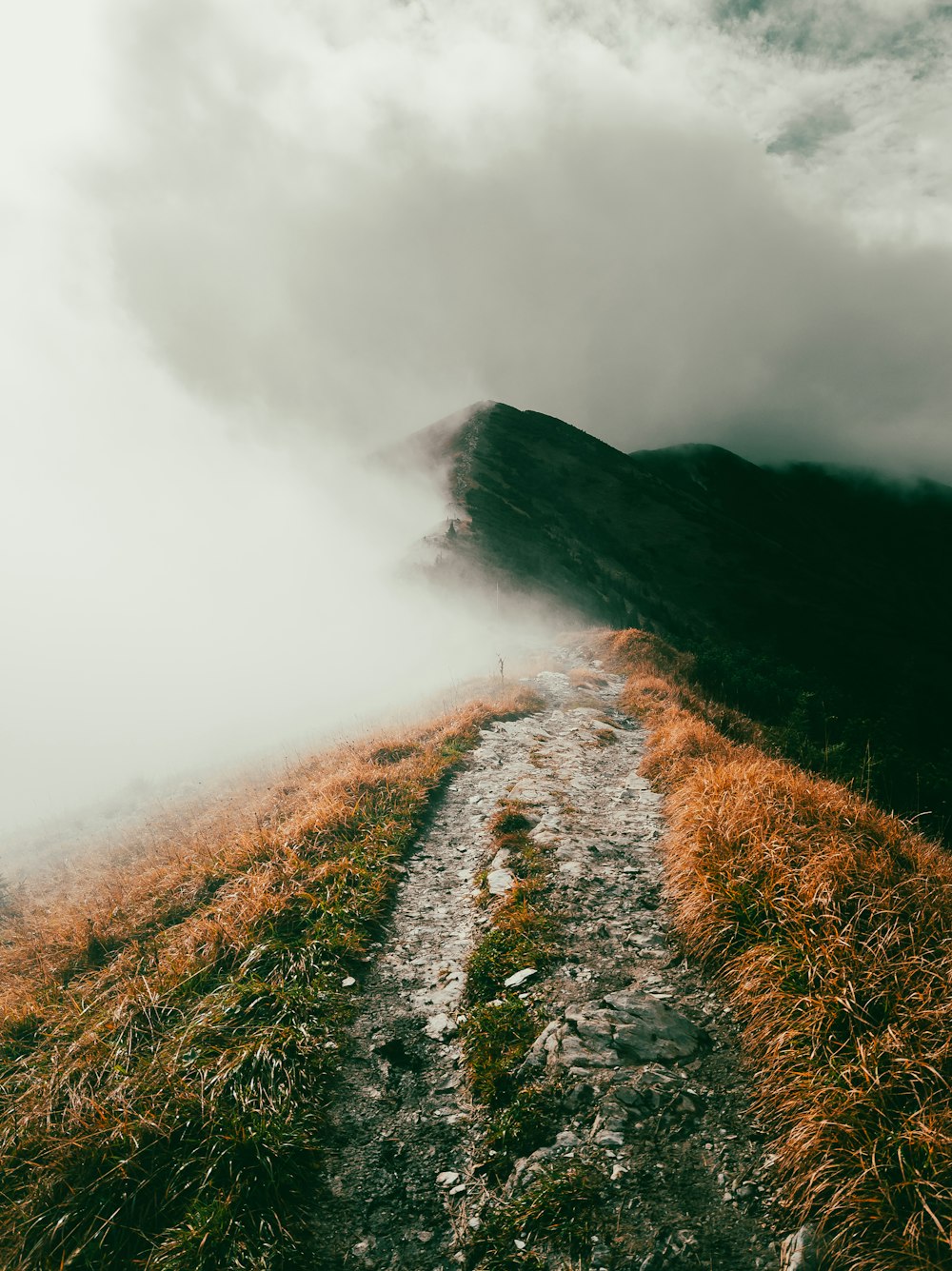 a path leading to the top of a mountain