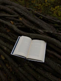 Cover of Henry Wow's debut novel with a rustic forest background.