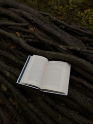 An open book surrounded by mystical forest elements.