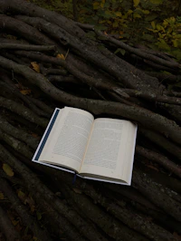 An open book surrounded by mystical forest elements.