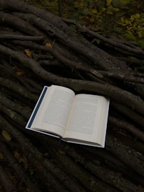 An open book surrounded by mystical forest elements.