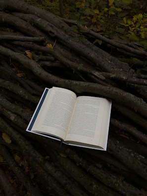 Cover of Henry Wow's debut novel with a rustic forest background.