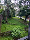 The lush green garden surrounding Amma Stays and Trails with blooming flowers and palm trees.