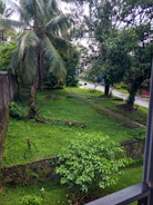 A tranquil garden oasis with lush greenery.