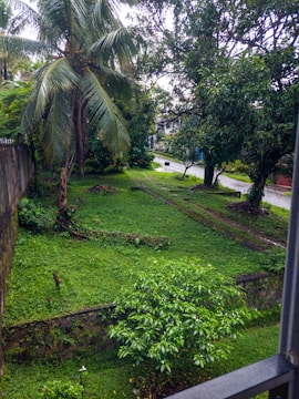 A tranquil garden oasis with lush greenery.