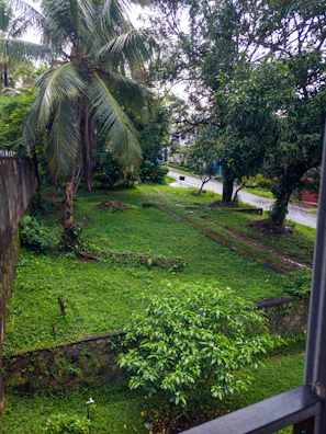 The lush green garden surrounding Amma Stays and Trails with blooming flowers and palm trees.