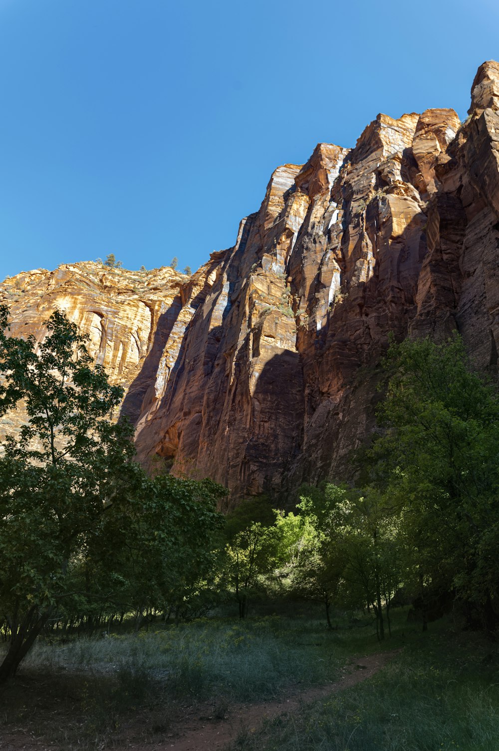 a rocky mountain with trees in the foreground and a blue sky in the background